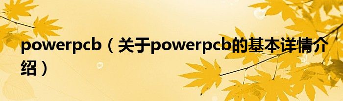 powerpcb（关于powerpcb的基本详情介绍）