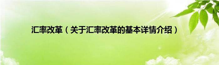 汇率改革（关于汇率改革的基本详情介绍）