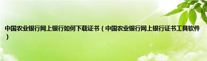 中国农业银行网上银行如何下载证书（中国农业银行网上银行证书工具软件）