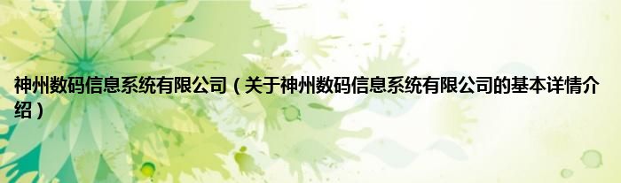 神州数码信息系统有限公司（关于神州数码信息系统有限公司的基本详情介绍）