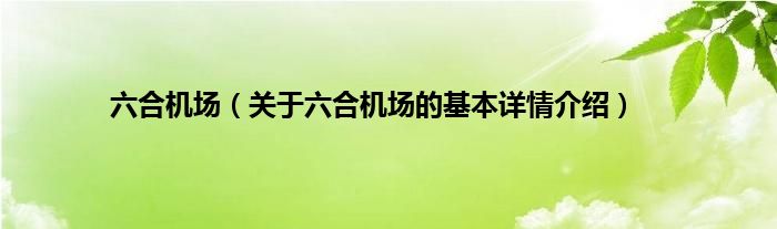 六合机场（关于六合机场的基本详情介绍）