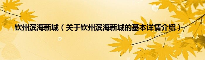 钦州滨海新城（关于钦州滨海新城的基本详情介绍）