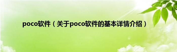 poco软件（关于poco软件的基本详情介绍）