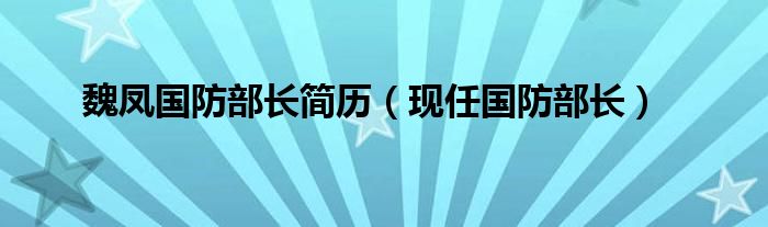 魏凤国防部长简历（现任国防部长）