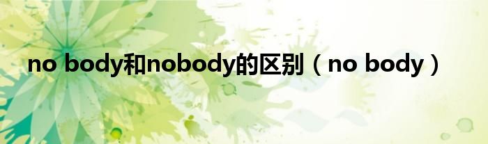 no body和nobody的区别（no body）