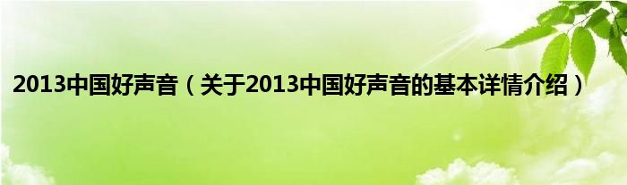 2013中国好声音（关于2013中国好声音的基本详情介绍）