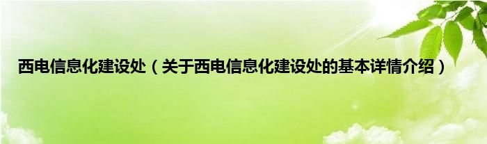 西电信息化建设处（关于西电信息化建设处的基本详情介绍）