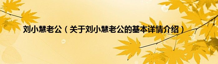 刘小慧老公（关于刘小慧老公的基本详情介绍）