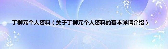 丁柳元个人资料（关于丁柳元个人资料的基本详情介绍）