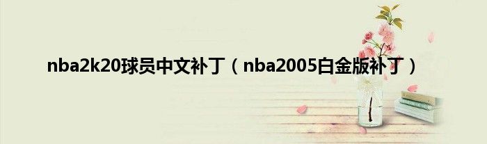 nba2k20球员中文补丁（nba2005白金版补丁）