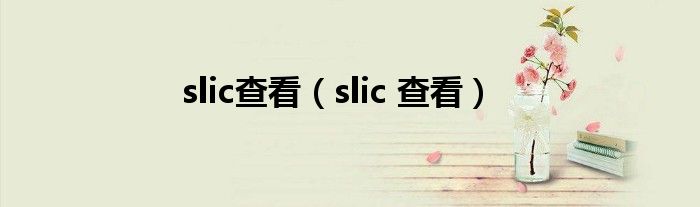 slic查看（slic 查看）