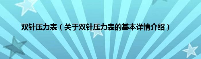 双针压力表（关于双针压力表的基本详情介绍）