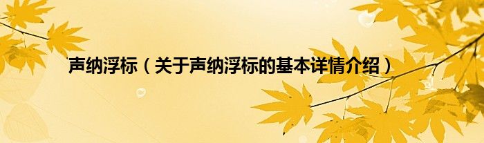 声纳浮标（关于声纳浮标的基本详情介绍）