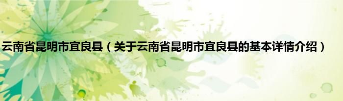 云南省昆明市宜良县（关于云南省昆明市宜良县的基本详情介绍）