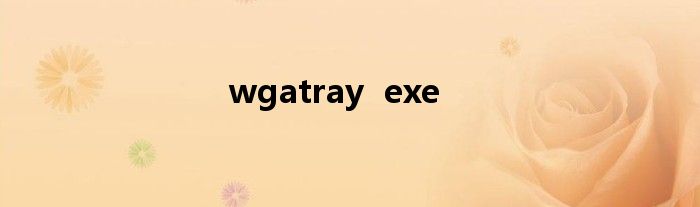 wgatray  exe