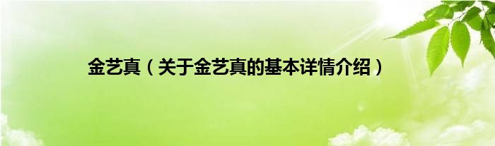 金艺真（关于金艺真的基本详情介绍）