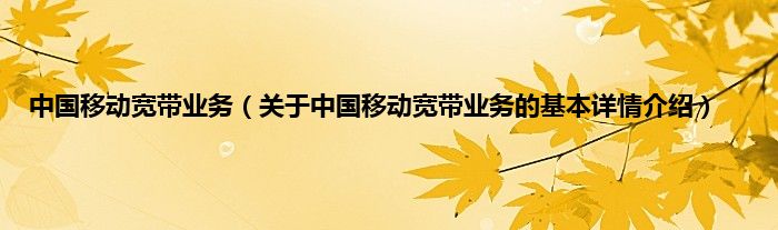 中国移动宽带业务（关于中国移动宽带业务的基本详情介绍）