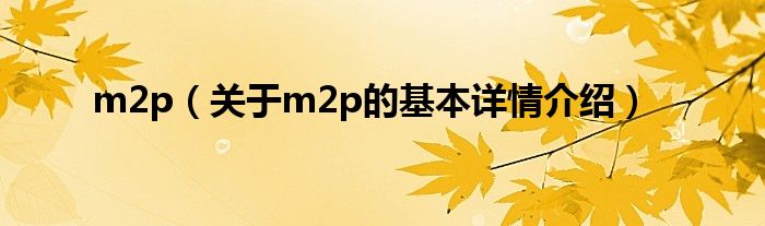 m2p（关于m2p的基本详情介绍）