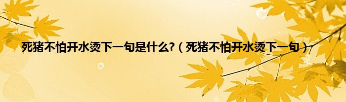 死猪不怕开水烫下一句是是什么?（死猪不怕开水烫下一句）