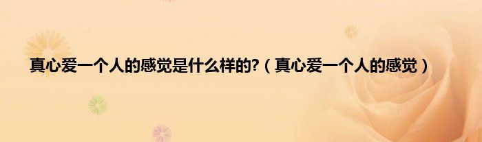 真心爱一个人的感觉是是什么样的?（真心爱一个人的感觉）