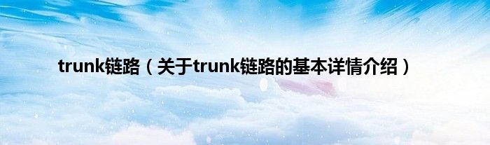 trunk链路（关于trunk链路的基本详情介绍）