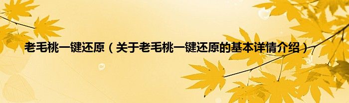 老毛桃一键还原（关于老毛桃一键还原的基本详情介绍）