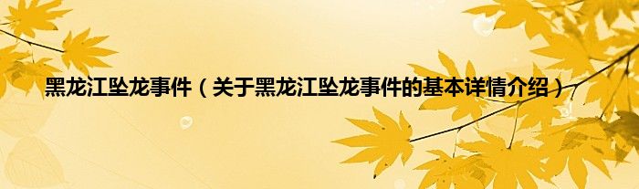 黑龙江坠龙事件（关于黑龙江坠龙事件的基本详情介绍）