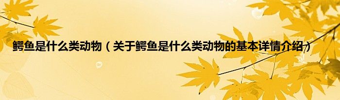 鳄鱼是是什么类动物（关于鳄鱼是是什么类动物的基本详情介绍）