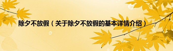 除夕不放假（关于除夕不放假的基本详情介绍）