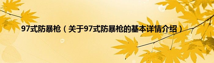 97式防暴枪（关于97式防暴枪的基本详情介绍）