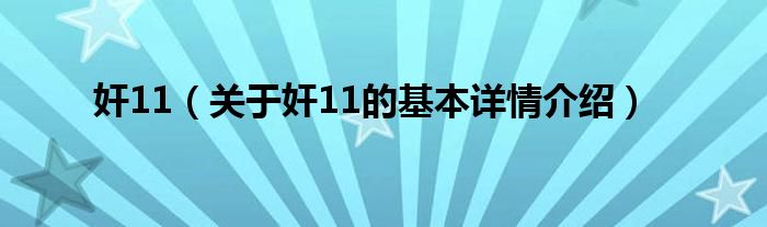 奸11（关于奸11的基本详情介绍）