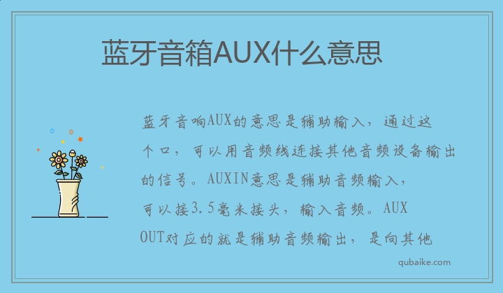 蓝牙音箱AUX什么意思