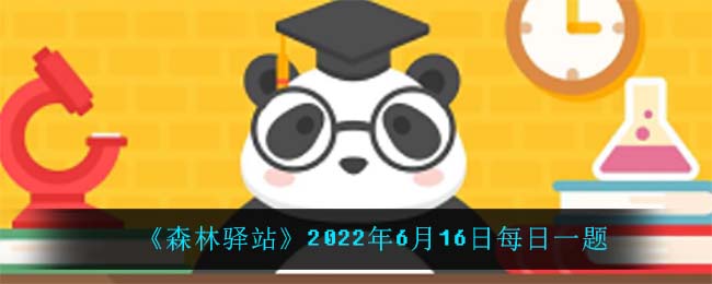 《森林驿站》2022年6月16日每日一题