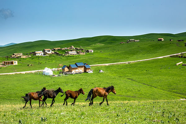 西辽国在现今什么地方地图,西辽是现在哪国