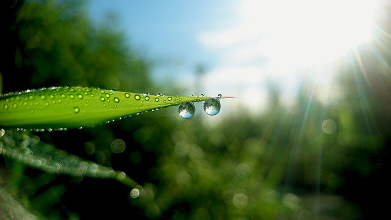 白露是什么季节