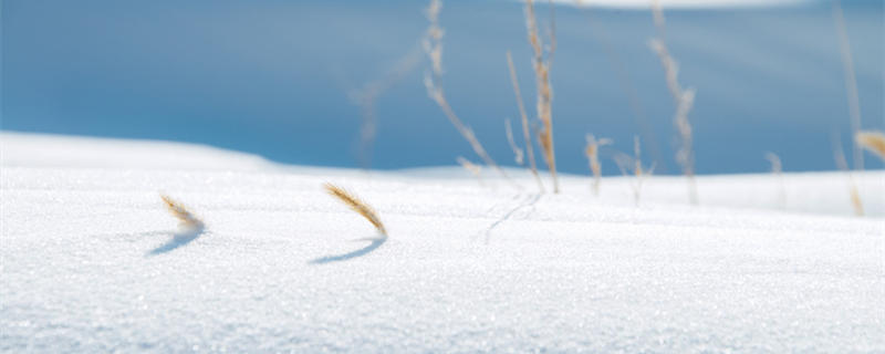 大雪纷飞的诗句