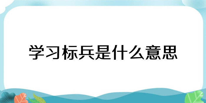 学习标兵是什么意思