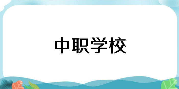 中职学校是什么意思?