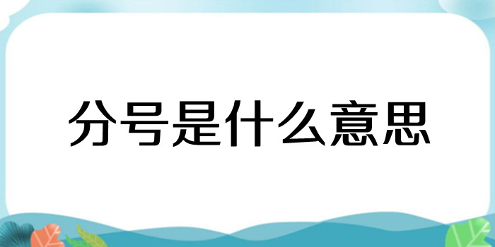 分号是什么意思