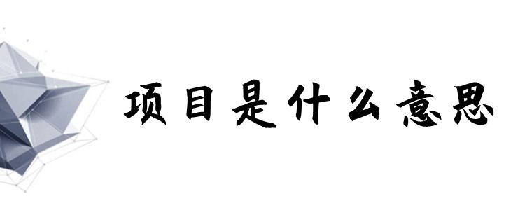 项目是什么意思