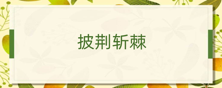 披荆斩棘什么意思