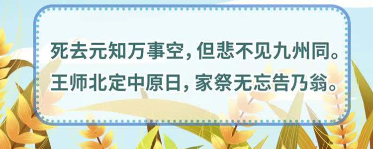 王师北定中原日家祭无忘告乃翁是什么意思