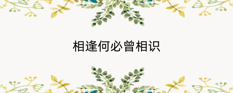 相逢何必曾相识上一句是什么