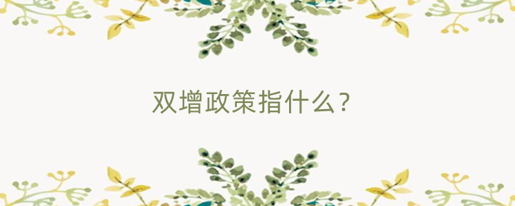 双增政策指什么