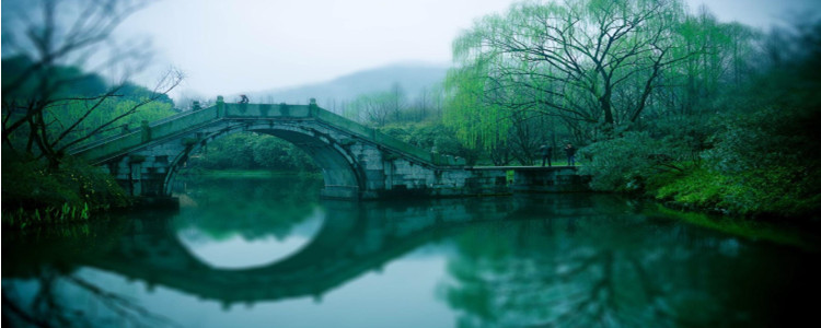 杏花烟雨江南上一句是什么