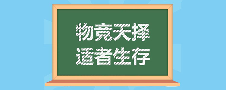 适者生存下一句是什么意思