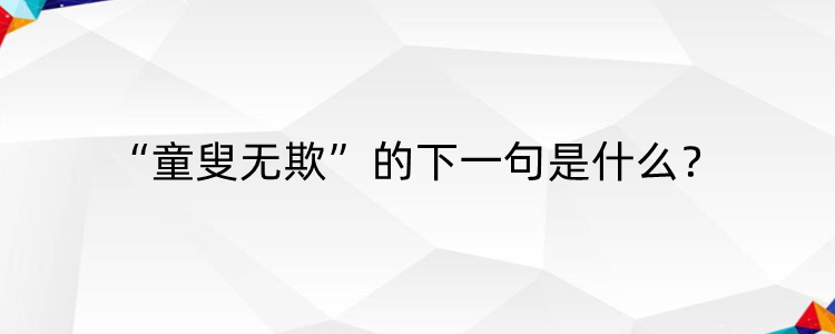 童叟无欺下一句是什么