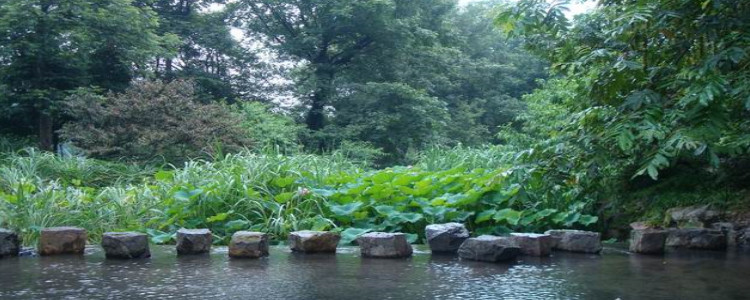 梅雨季节是几月份