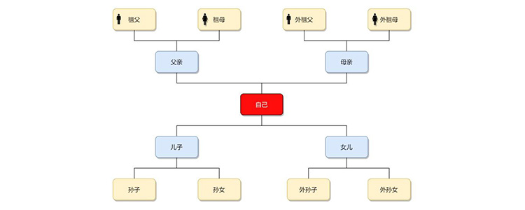 直系亲属包括哪些