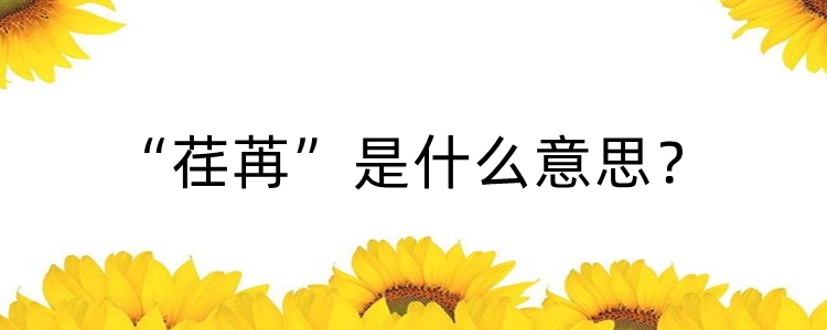 荏苒是什么意思